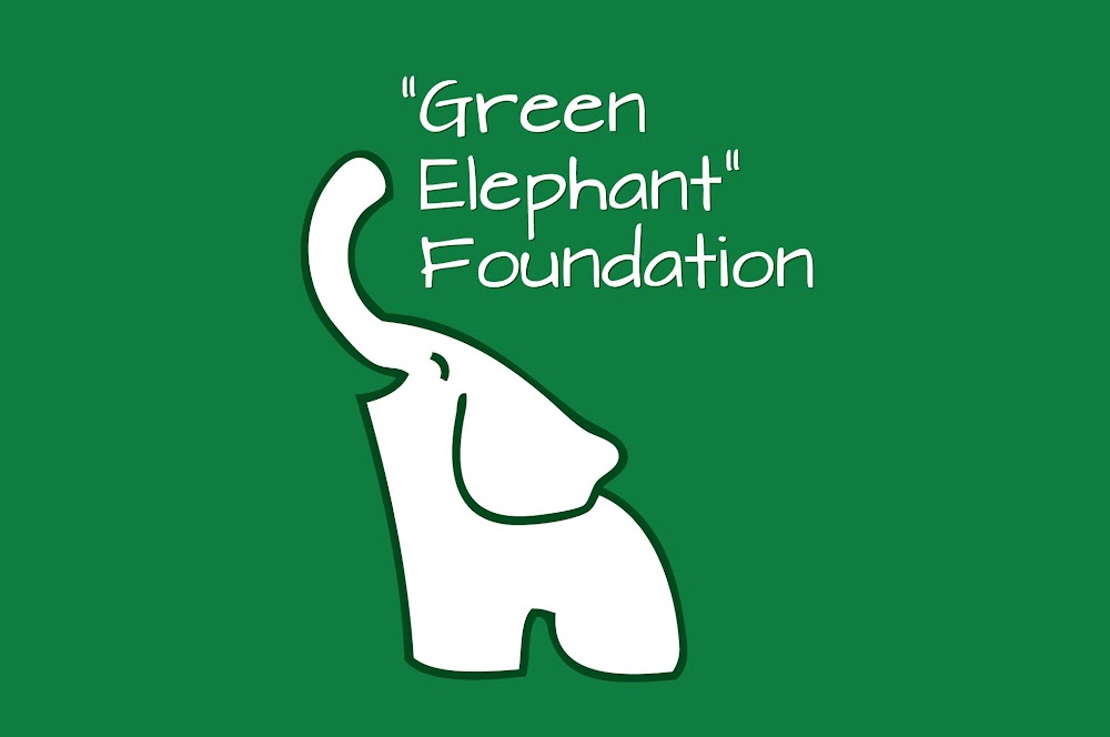 /2026/02/Green-Elephant_Logo.jpg