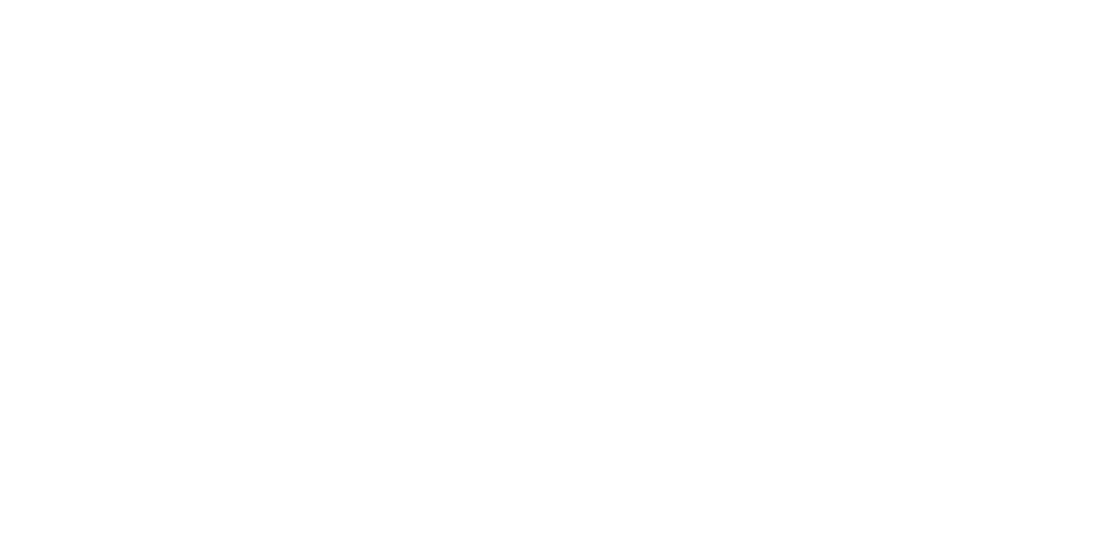 Project School Logo White