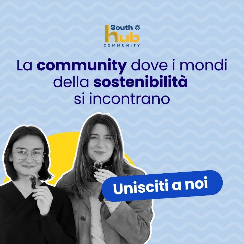 South Hub community di project school
